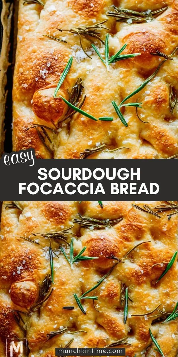 Same Day Sourdough Focaccia Bread 2 Same Day Sourdough Focaccia Bread