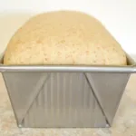 Easy Sourdough Sandwich Bread - Same Day or Overnight 3 easy sourdough sandwich bread same day or overni 2025 12 22 112755 150x150 1