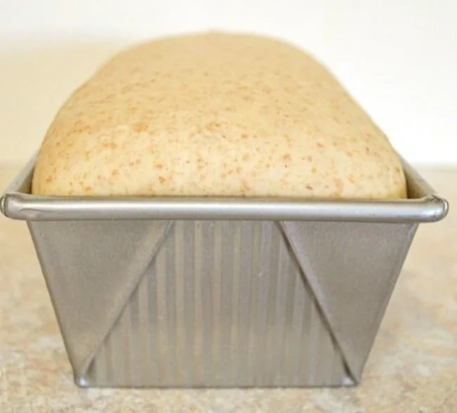 Freshly baked sourdough sandwich bread on a wooden cutting board