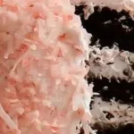 Sno Ball Cake 3 sno ball cake 2025 12 30 120544 150x150 1