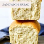 Sourdough Discard Sandwich Loaf Recipe 3 sourdough discard sandwich loaf recipe 2025 12 24 094718 150x150 1