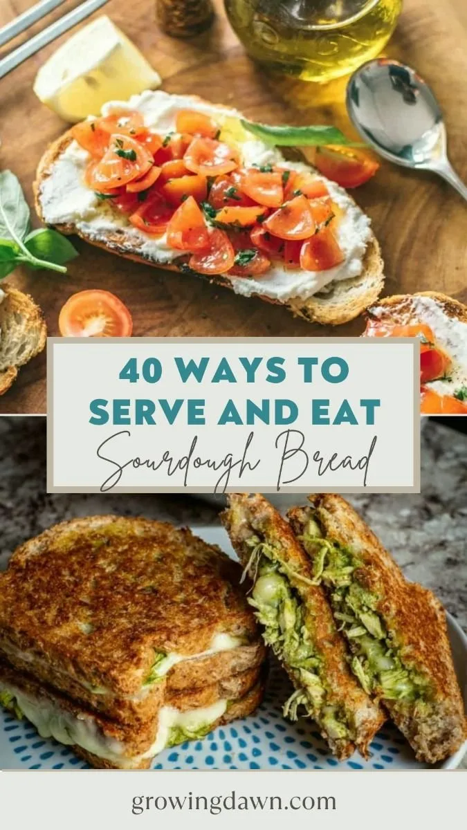 40 Ways To Serve and Eat Sourdough Bread 2 40 Ways To Serve and Eat Sourdough Bread